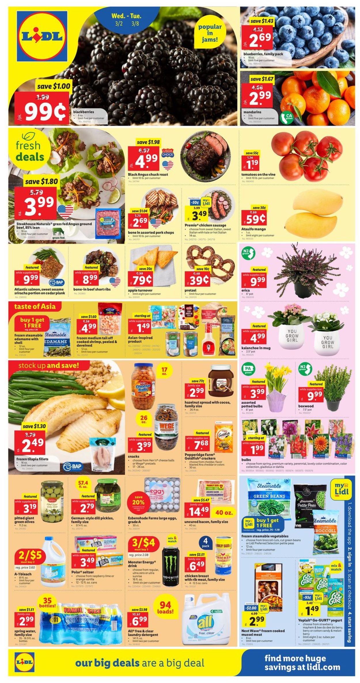 Catalogue Lidl from 03/02/2022