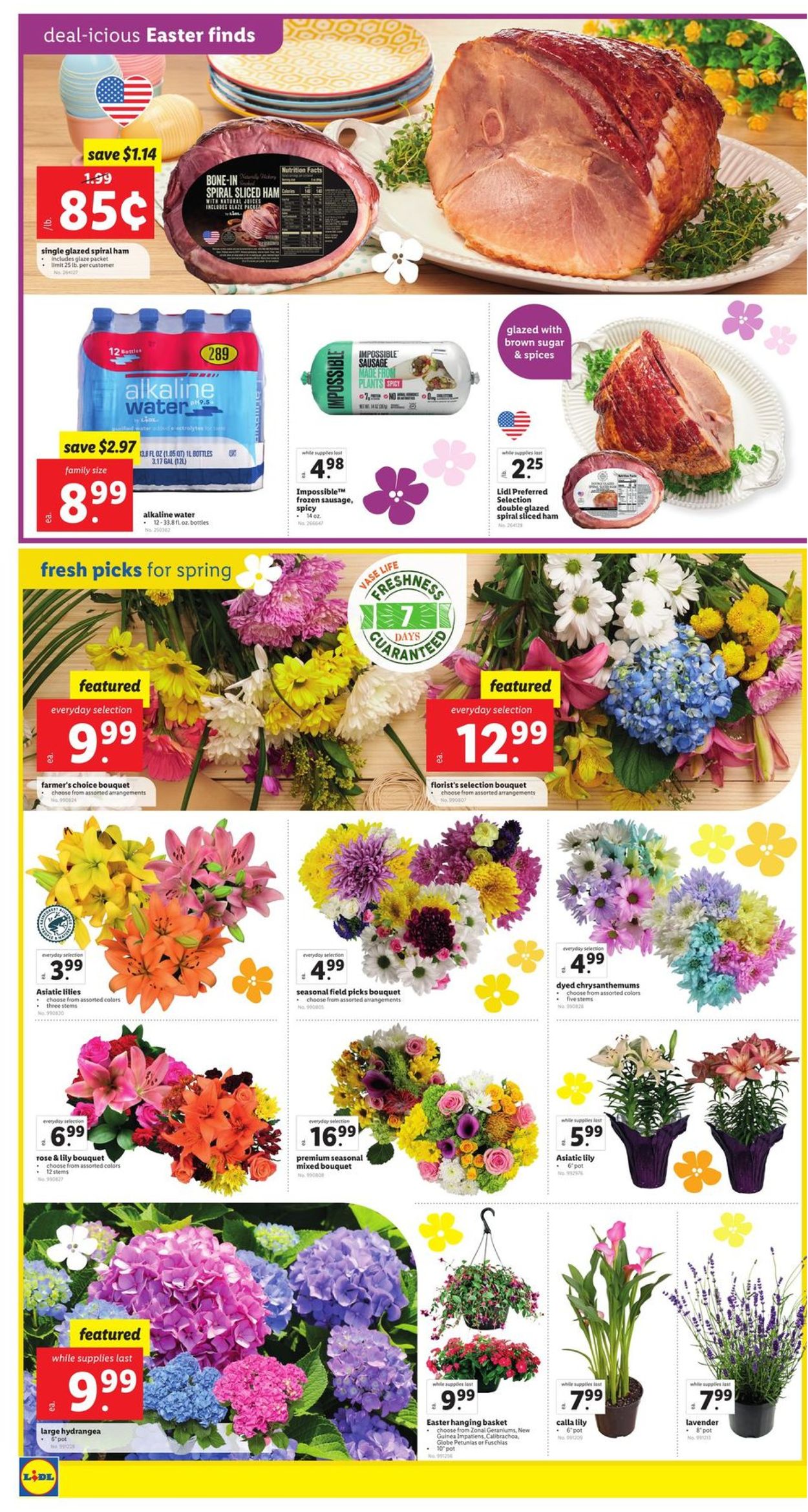 Catalogue Lidl EASTER 2022 from 04/13/2022
