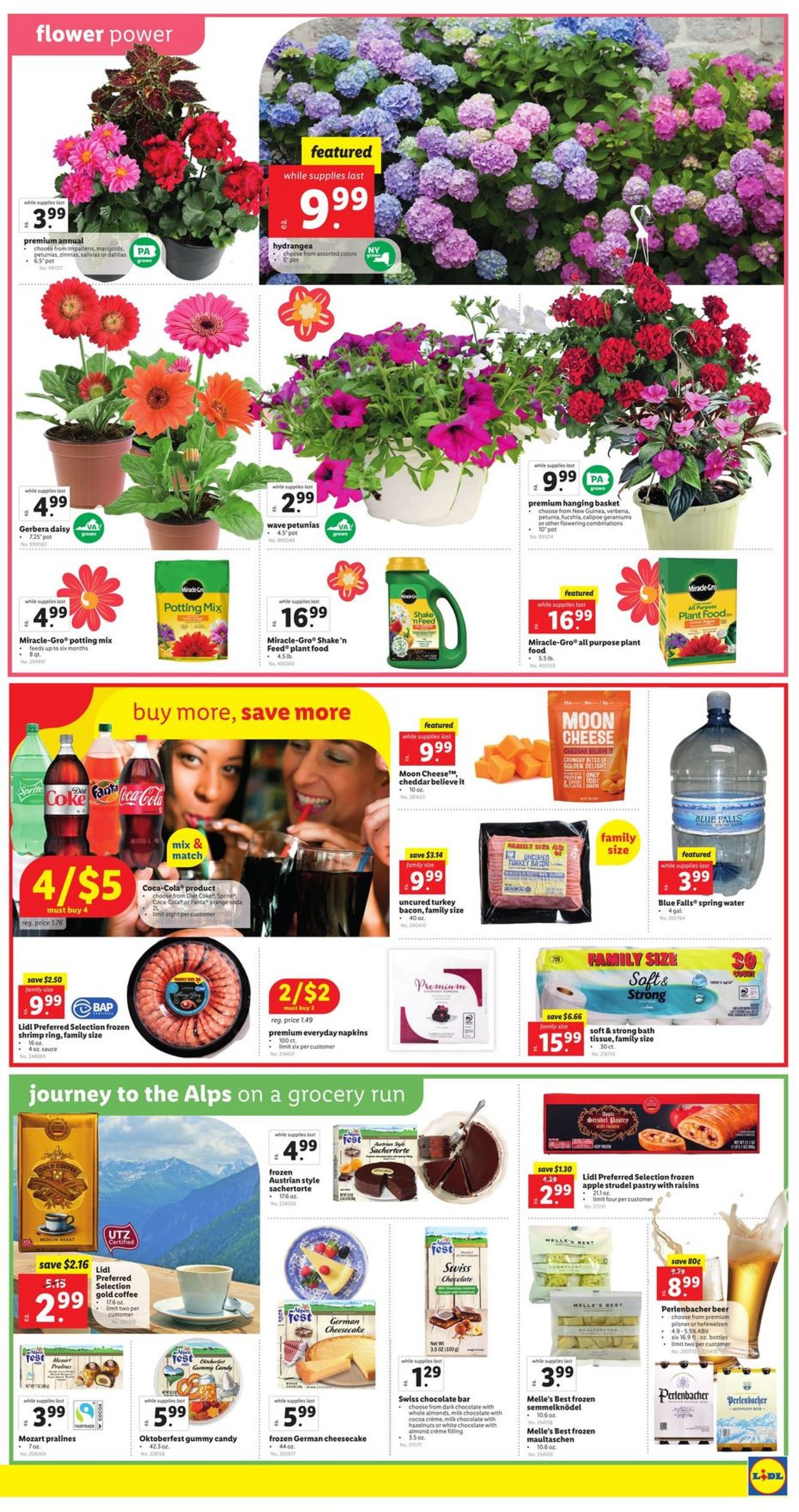 Catalogue Lidl from 05/04/2022