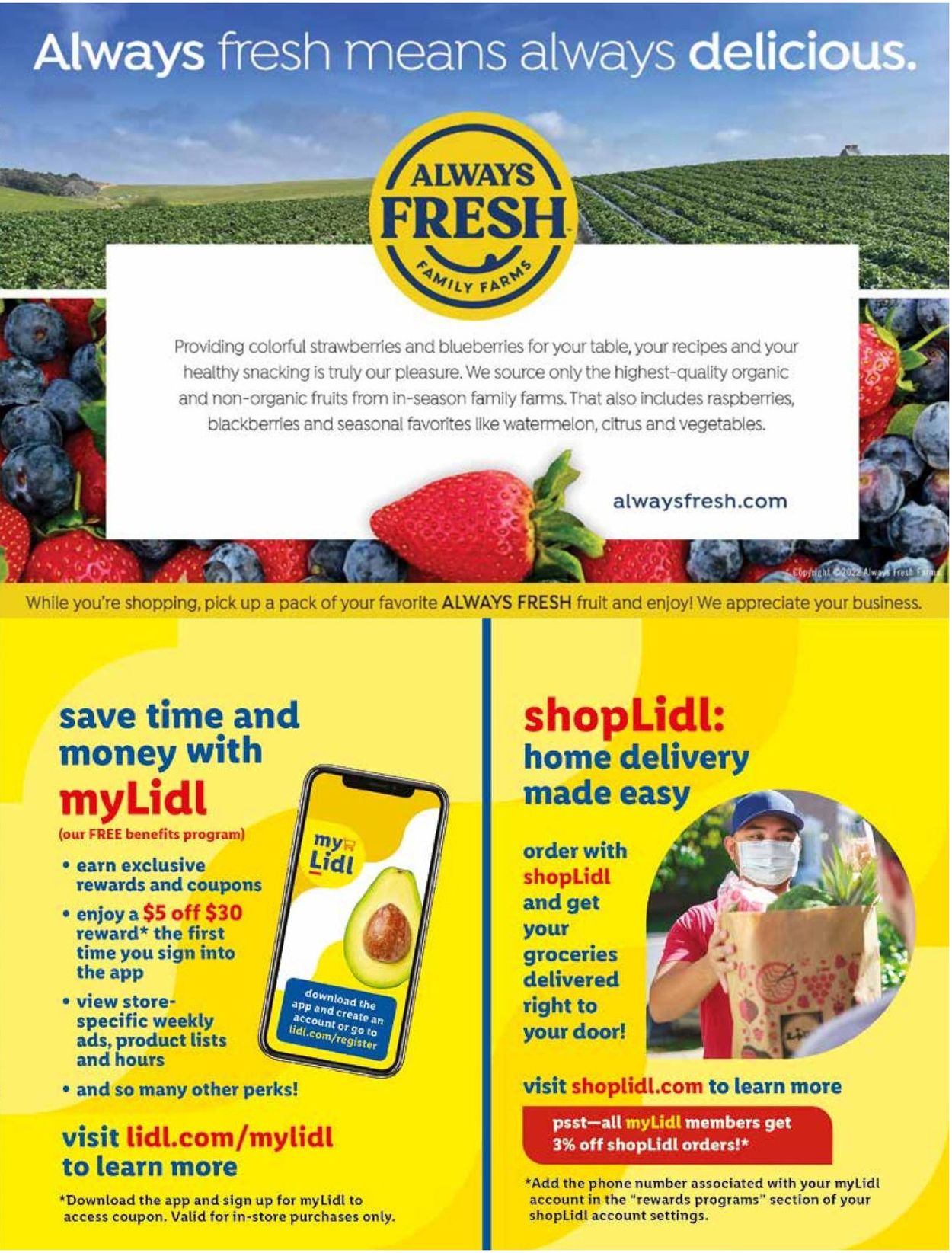 Catalogue Lidl from 07/27/2022