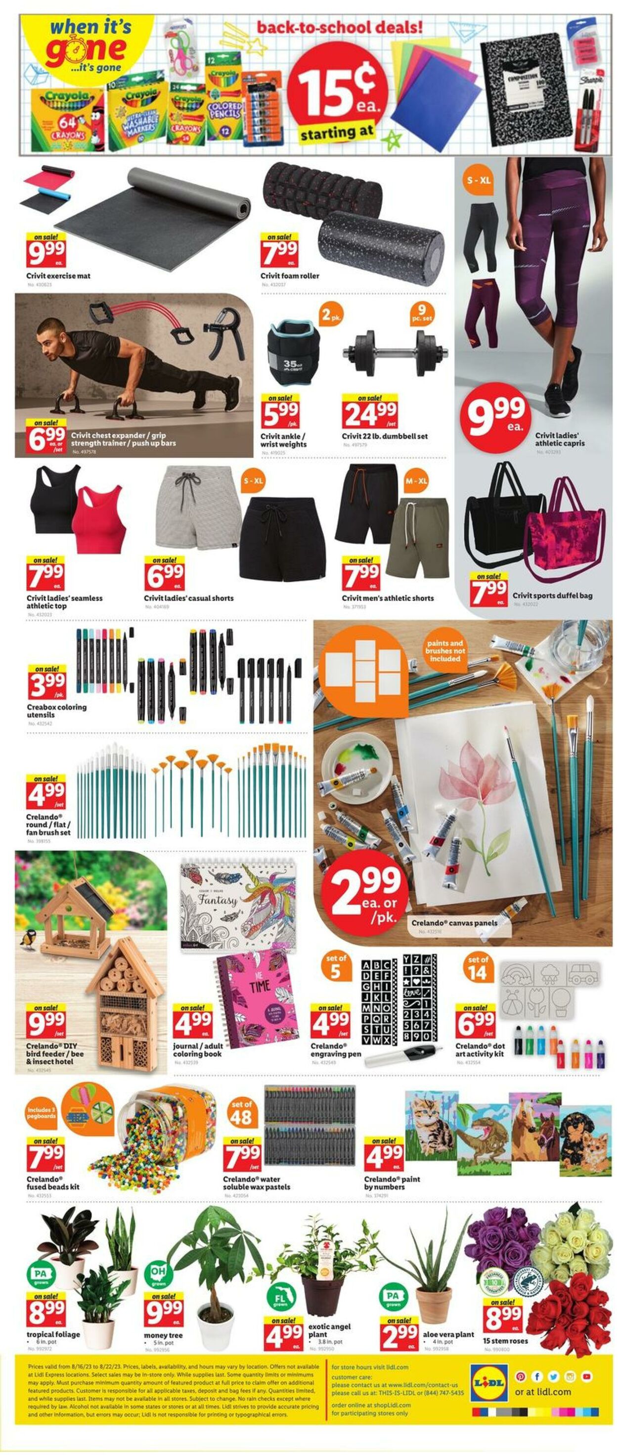 Catalogue Lidl from 08/16/2023