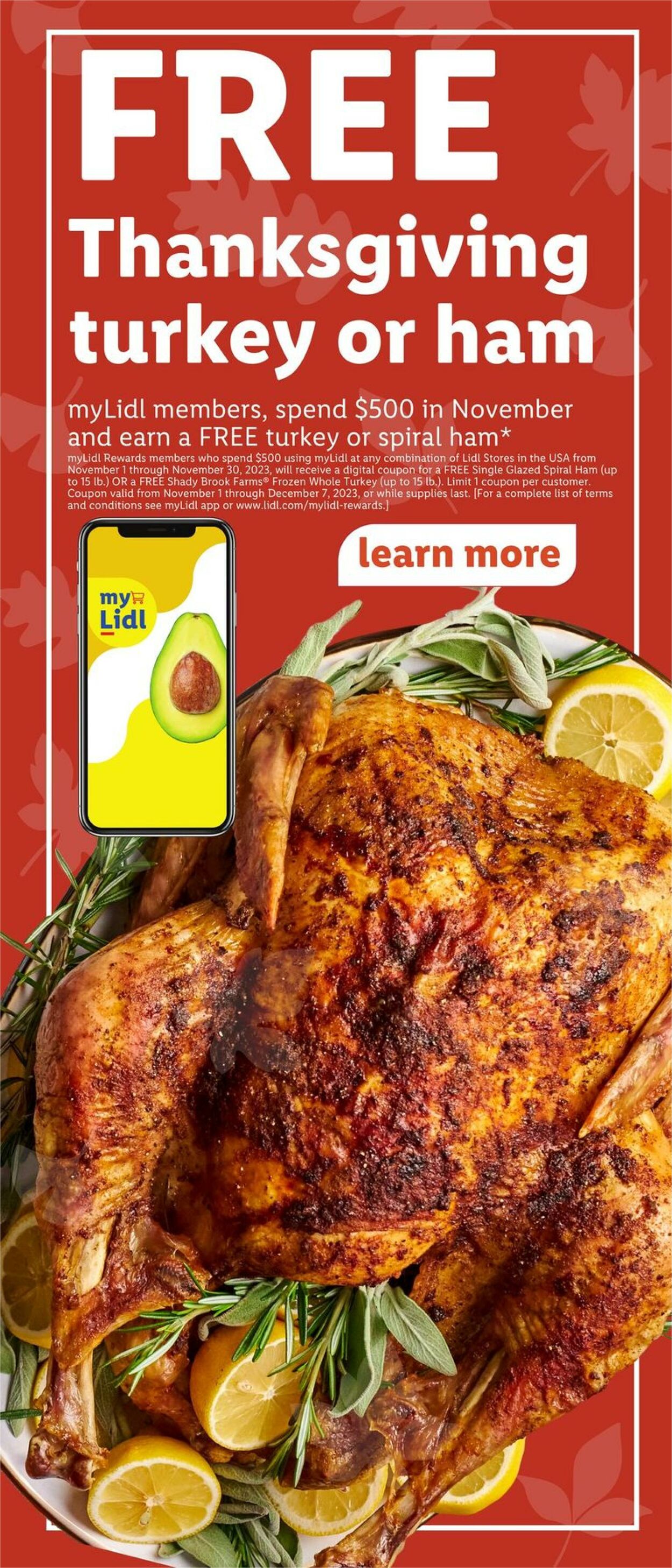 Catalogue Lidl from 11/08/2023