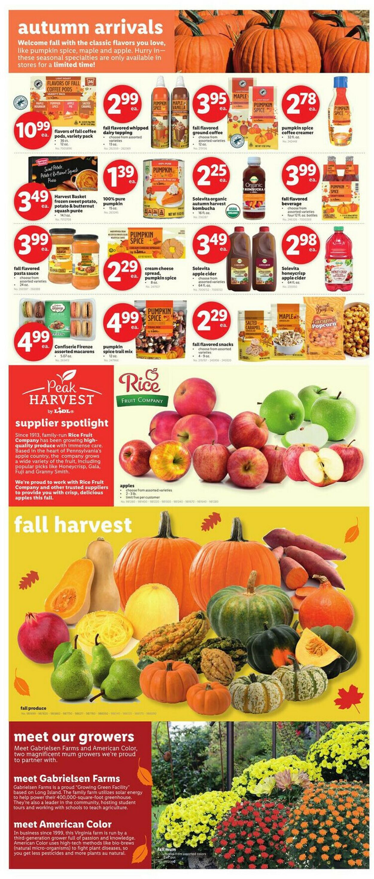 Catalogue Lidl from 09/04/2024