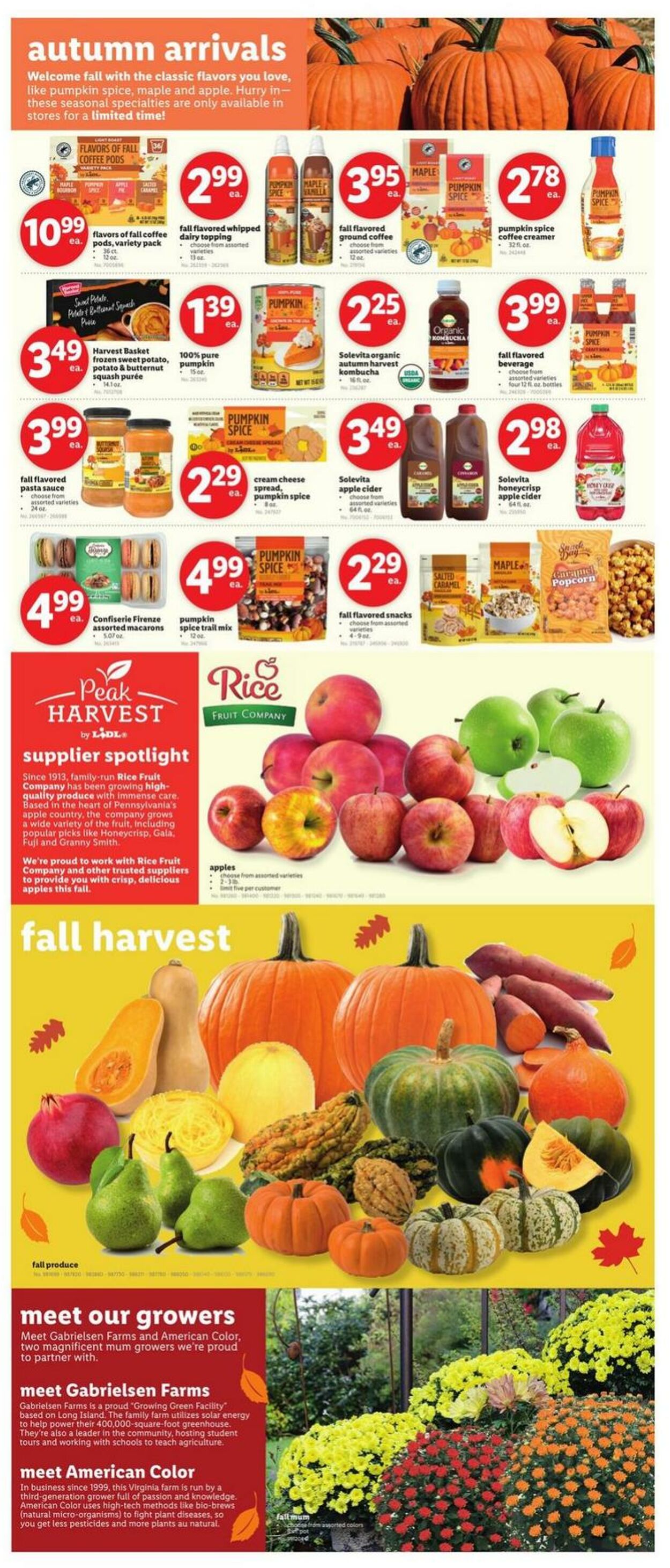 Catalogue Lidl from 09/04/2024