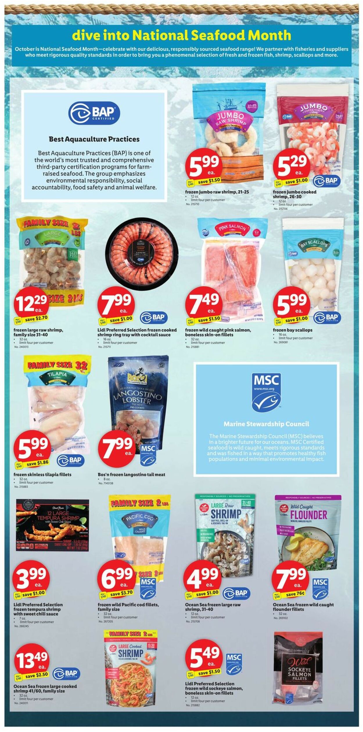 Catalogue Lidl from 10/02/2024