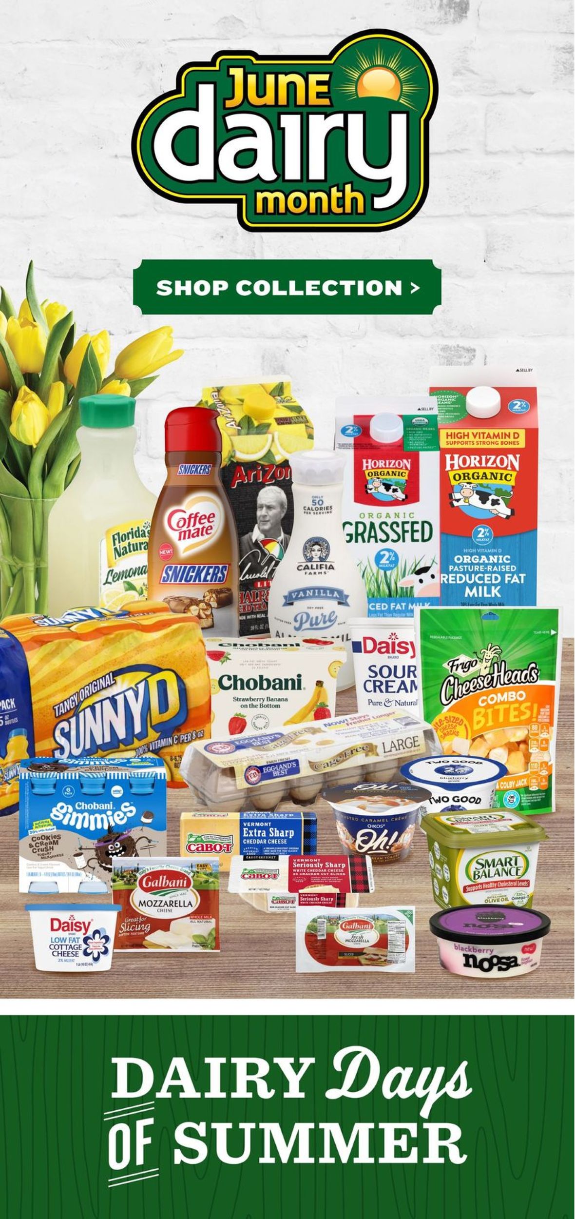 Catalogue Lowes Foods from 06/12/2019