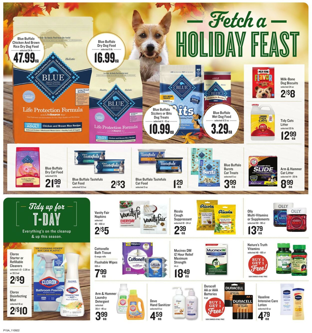 Catalogue Lowes Foods from 11/09/2022