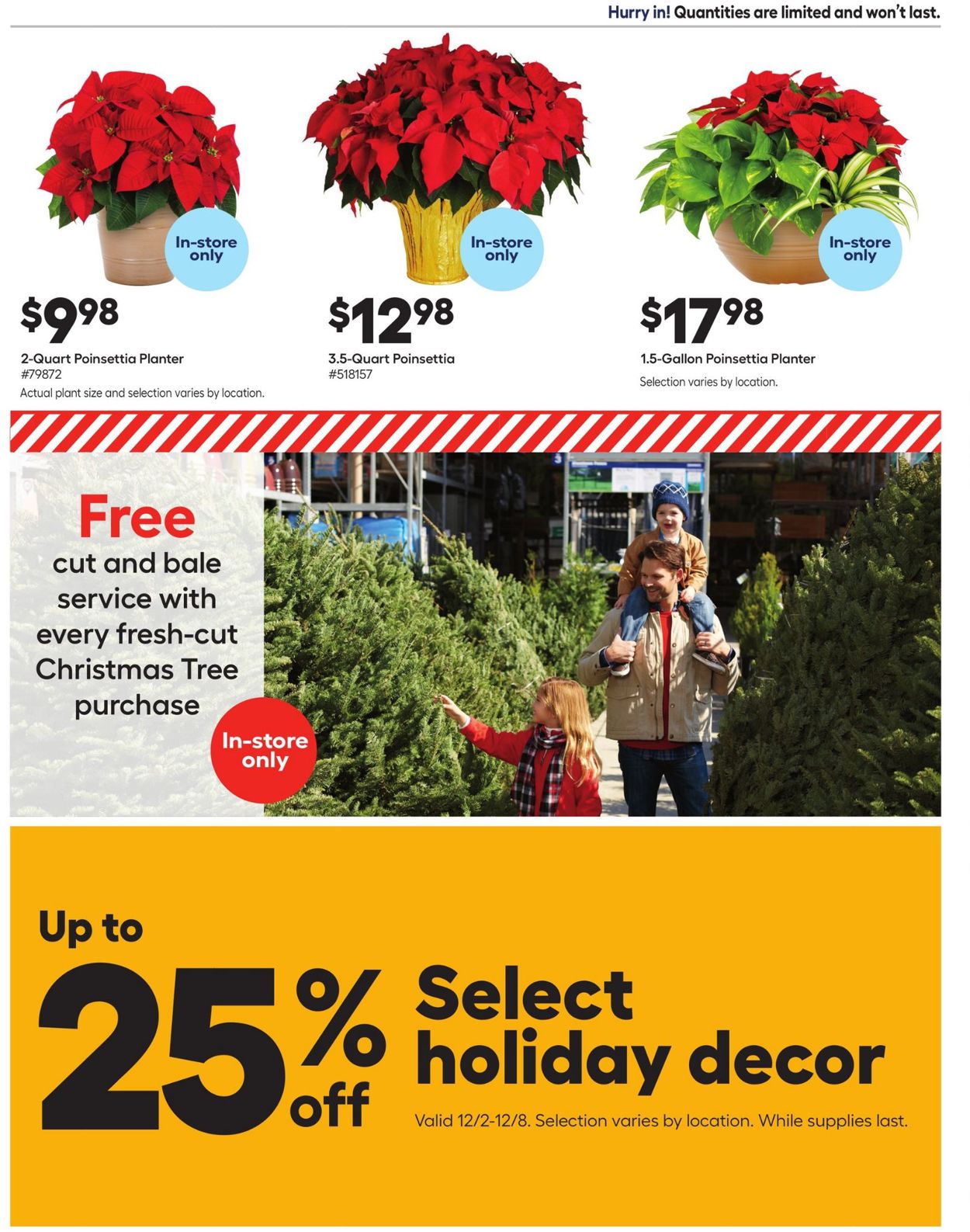 Catalogue Lowe's HOLIDAY 2021 from 12/02/2021