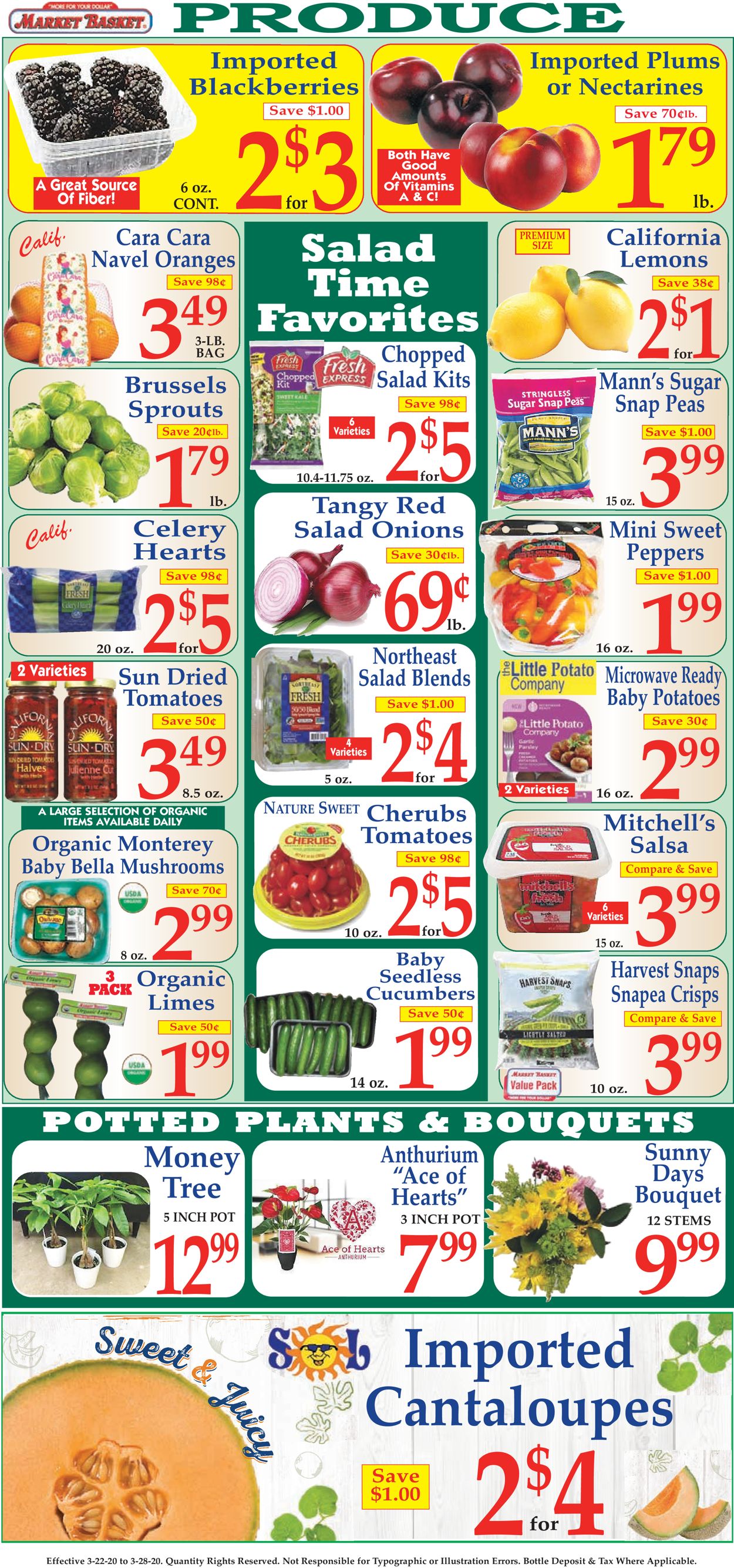 Catalogue Market Basket from 03/22/2020