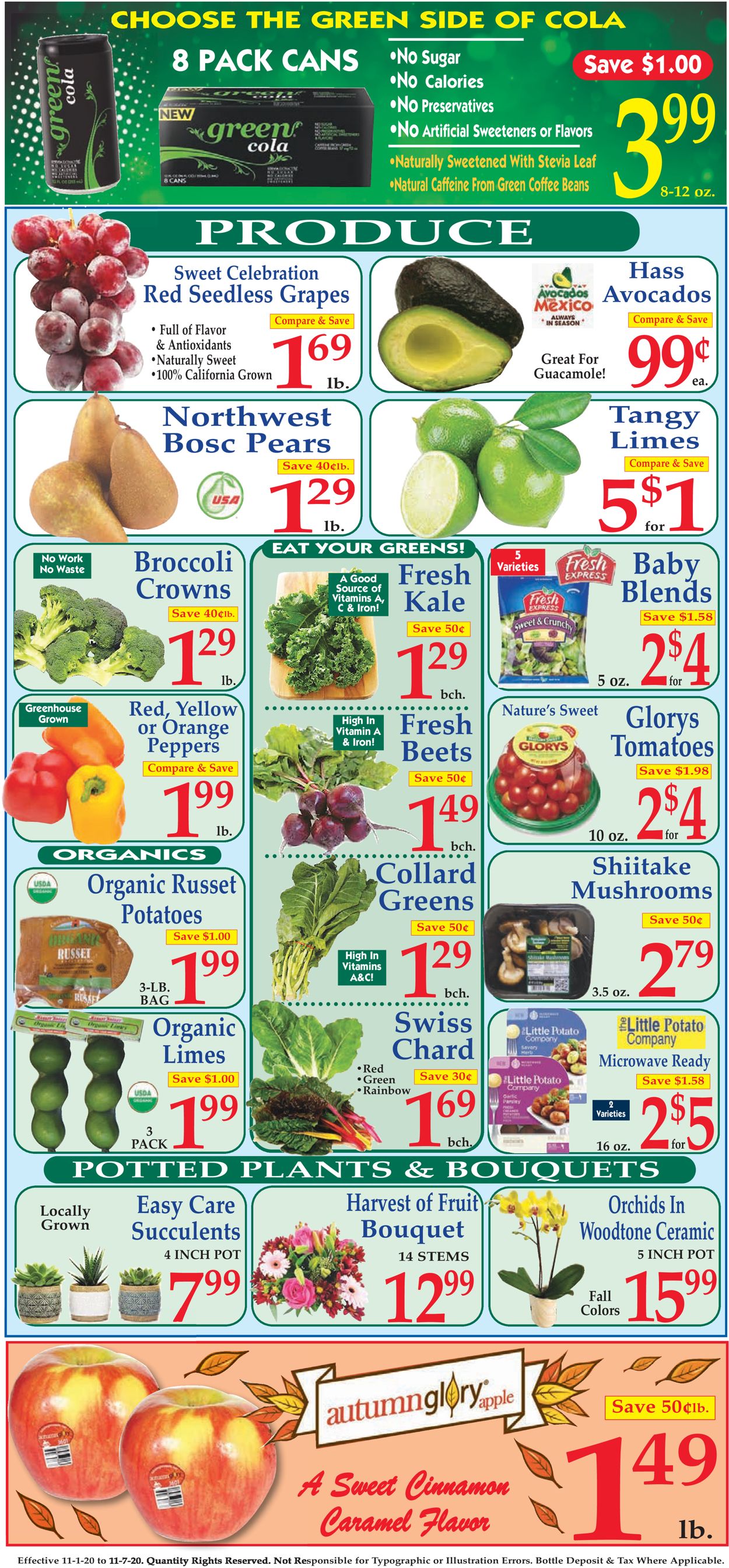 Catalogue Market Basket from 11/01/2020