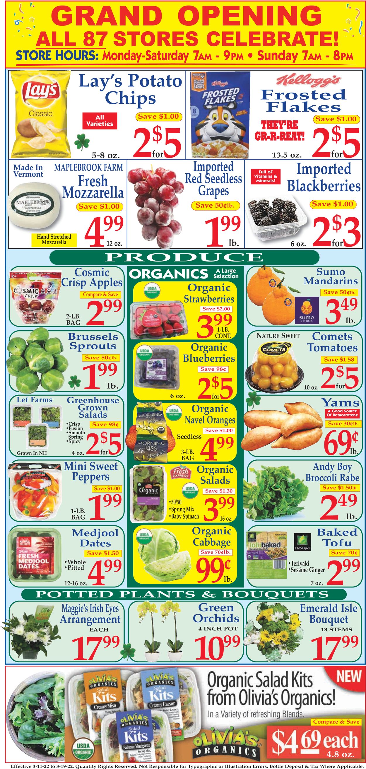 Catalogue Market Basket from 03/11/2022