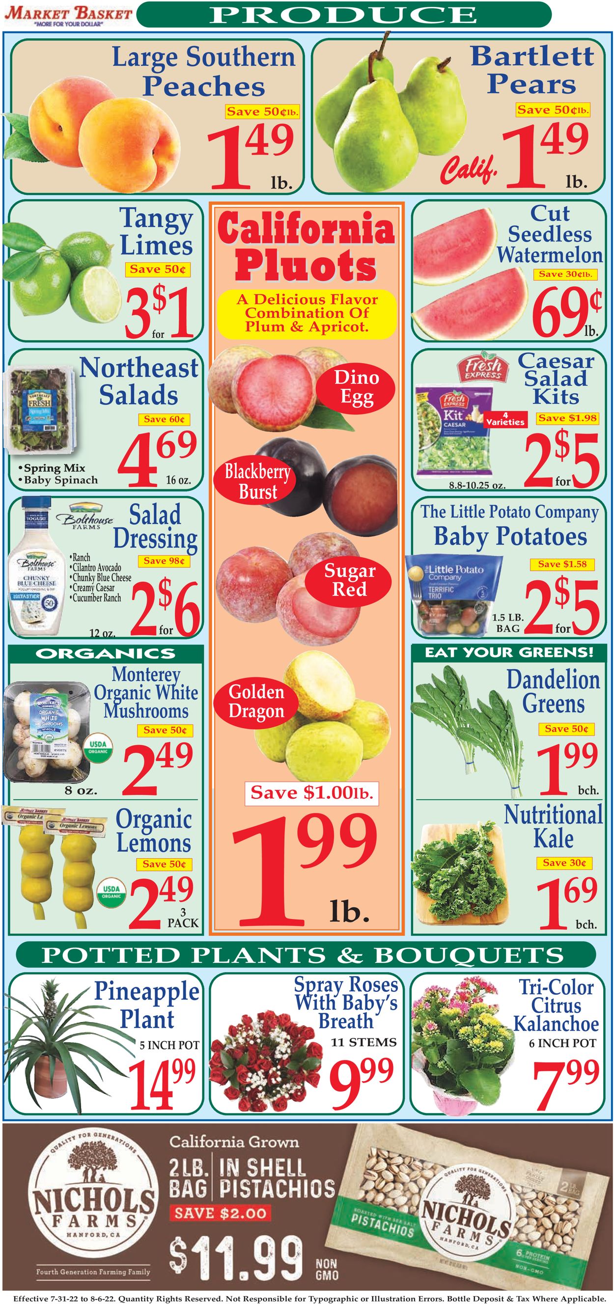 Catalogue Market Basket from 07/31/2022