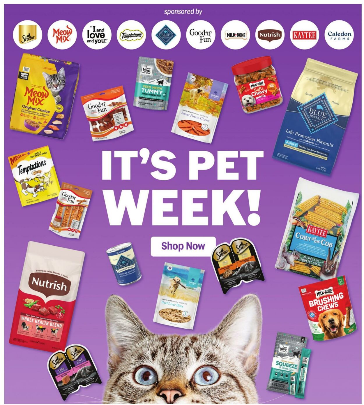 Catalogue Meijer from 05/18/2025