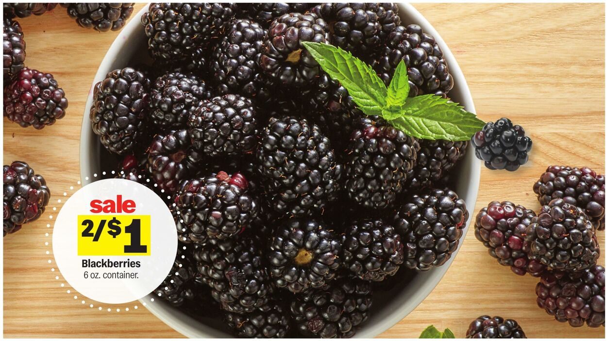 Catalogue Meijer from 04/08/2026