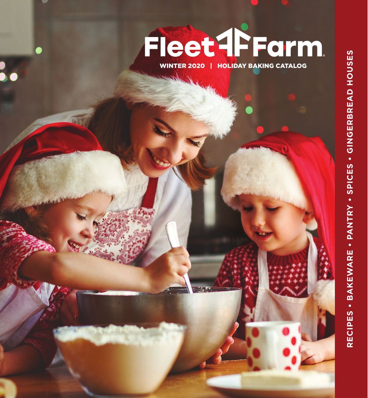 Catalogue Mills Fleet Farm Holiday 2020 from 11/06/2020