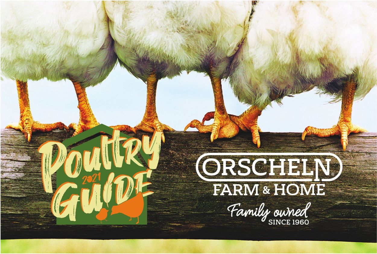 Catalogue Orscheln Farm and Home Poultry Guide 2021     from 02/03/2021
