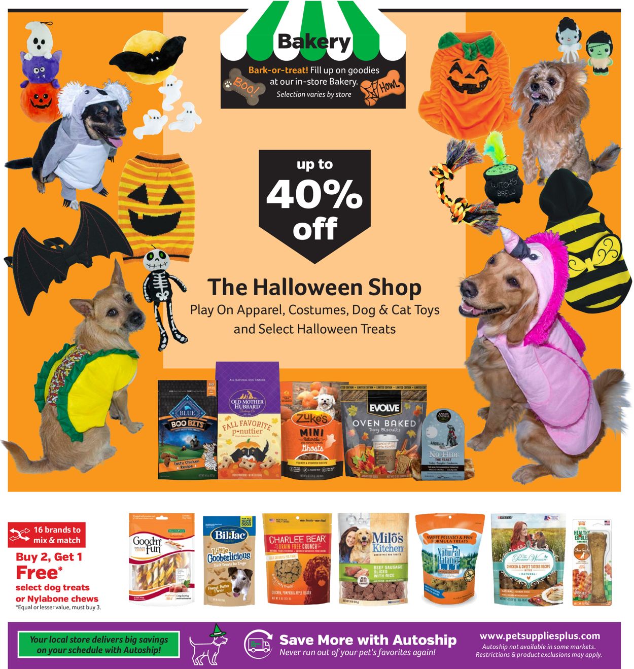Catalogue Pet Supplies Plus Halloween 2021 from 10/04/2021