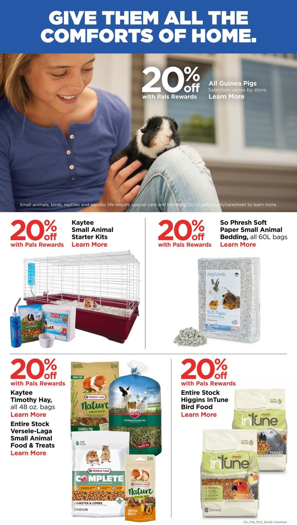 Catalogue Petco from 02/02/2020