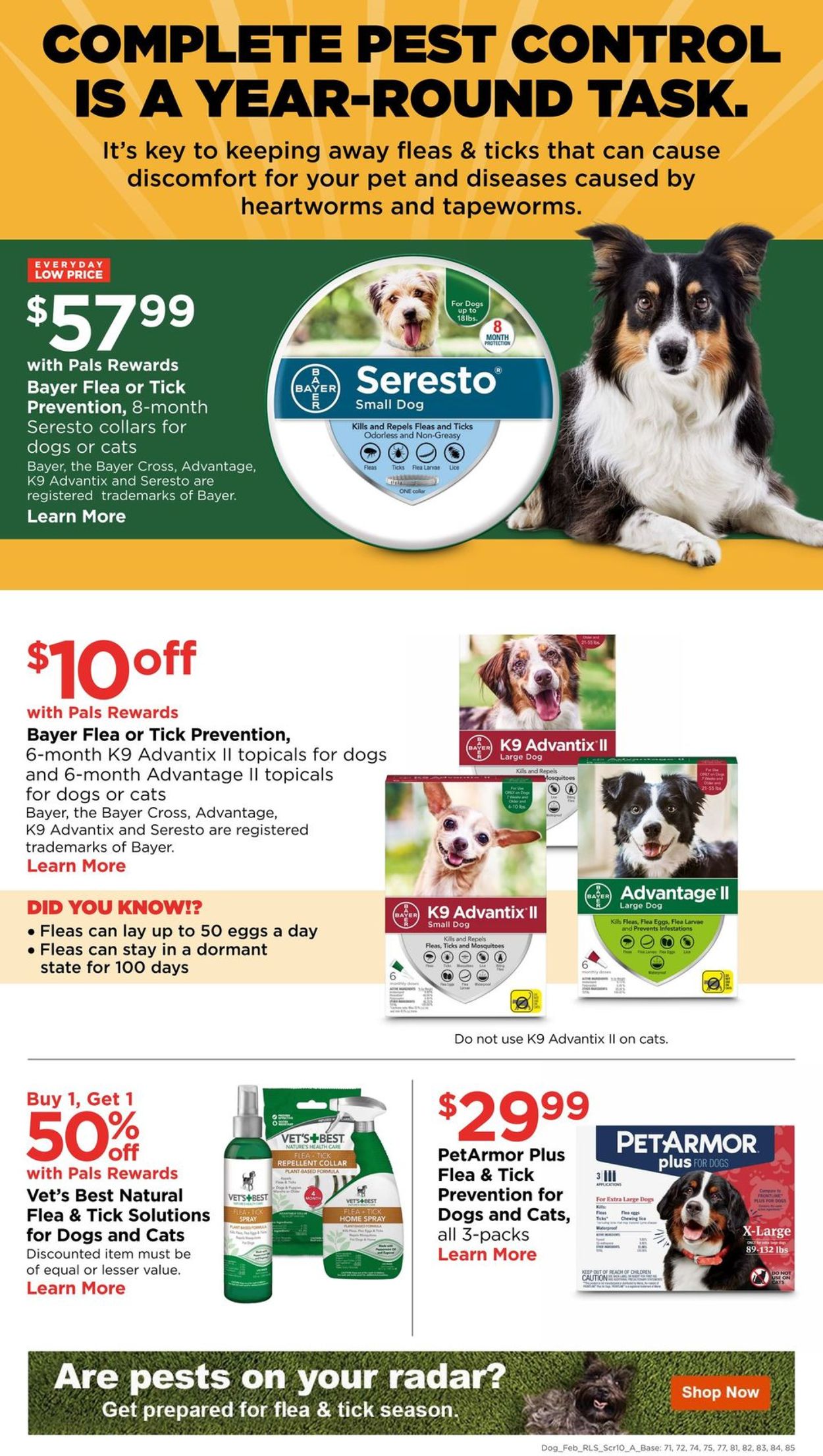 Catalogue Petco from 02/02/2020