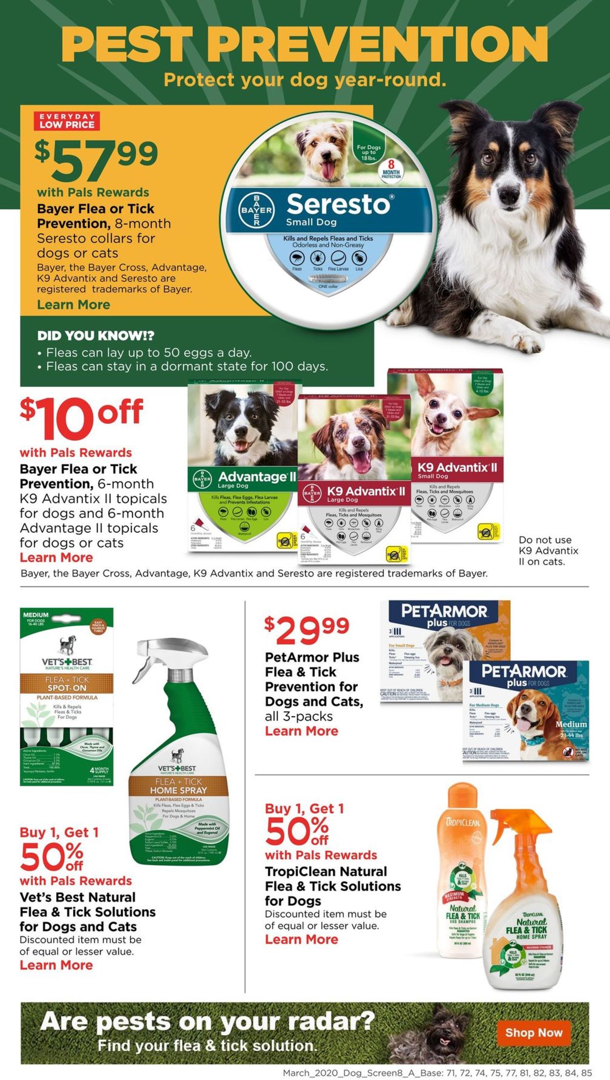 Catalogue Petco from 03/08/2020