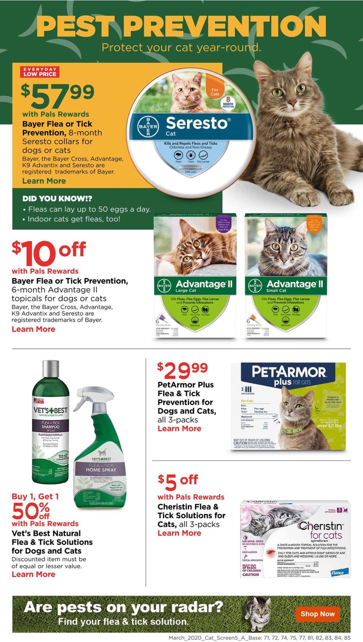 Catalogue Petco from 03/08/2020