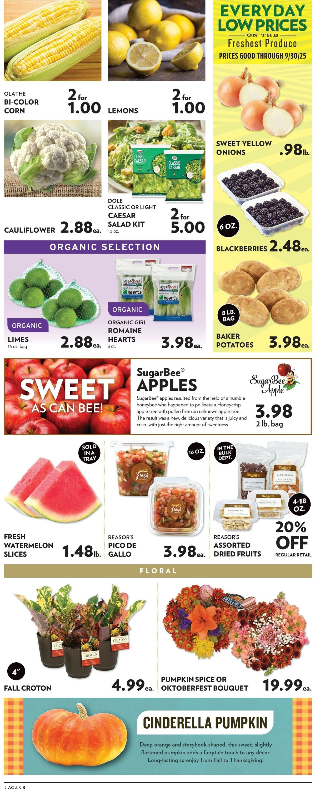 Catalogue Reasor's from 09/17/2025