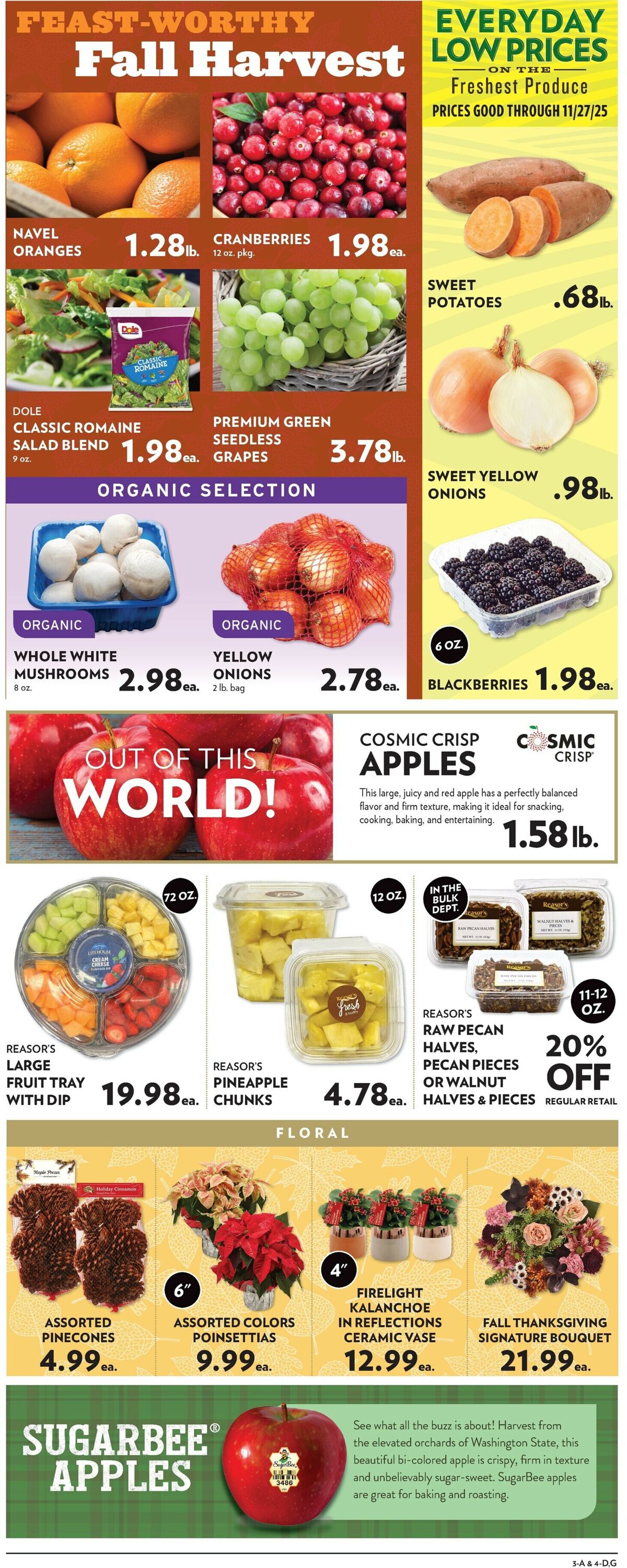 Catalogue Reasor's from 11/19/2025