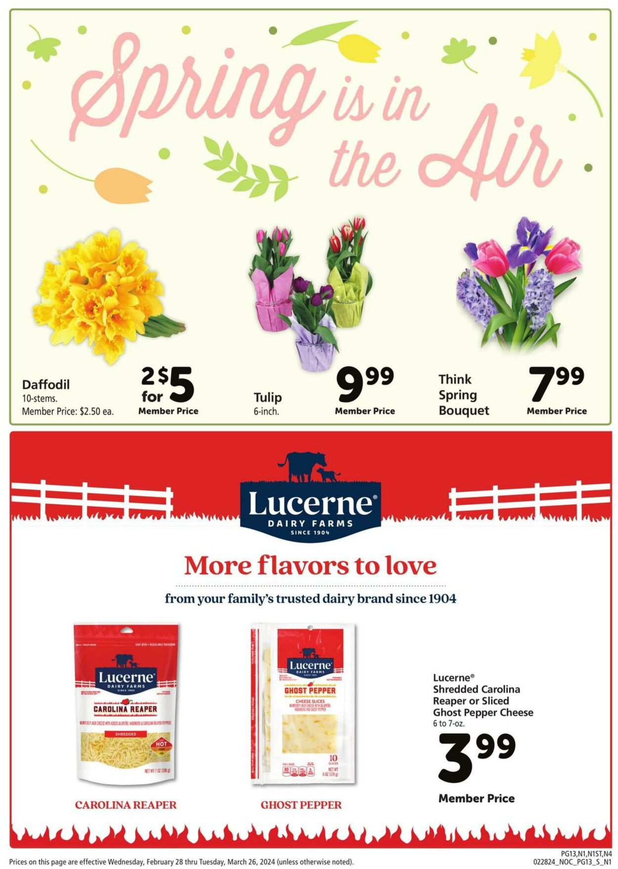 Catalogue Safeway from 02/28/2024