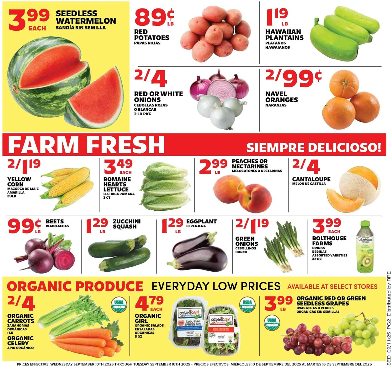 Catalogue Sedano's from 09/10/2025