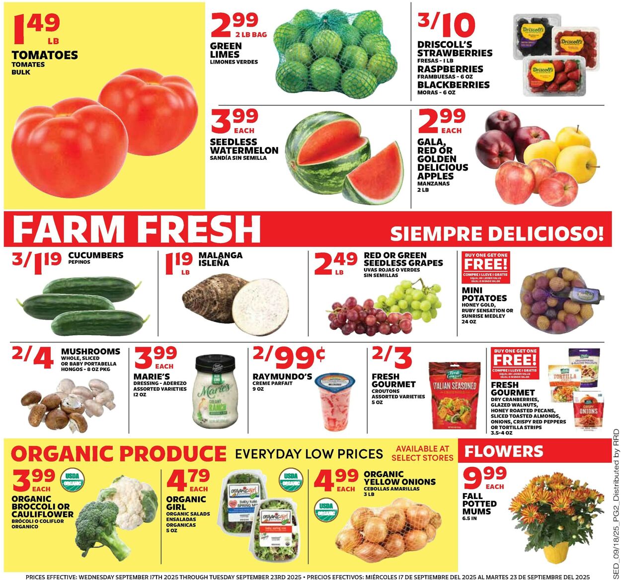 Catalogue Sedano's from 09/17/2025