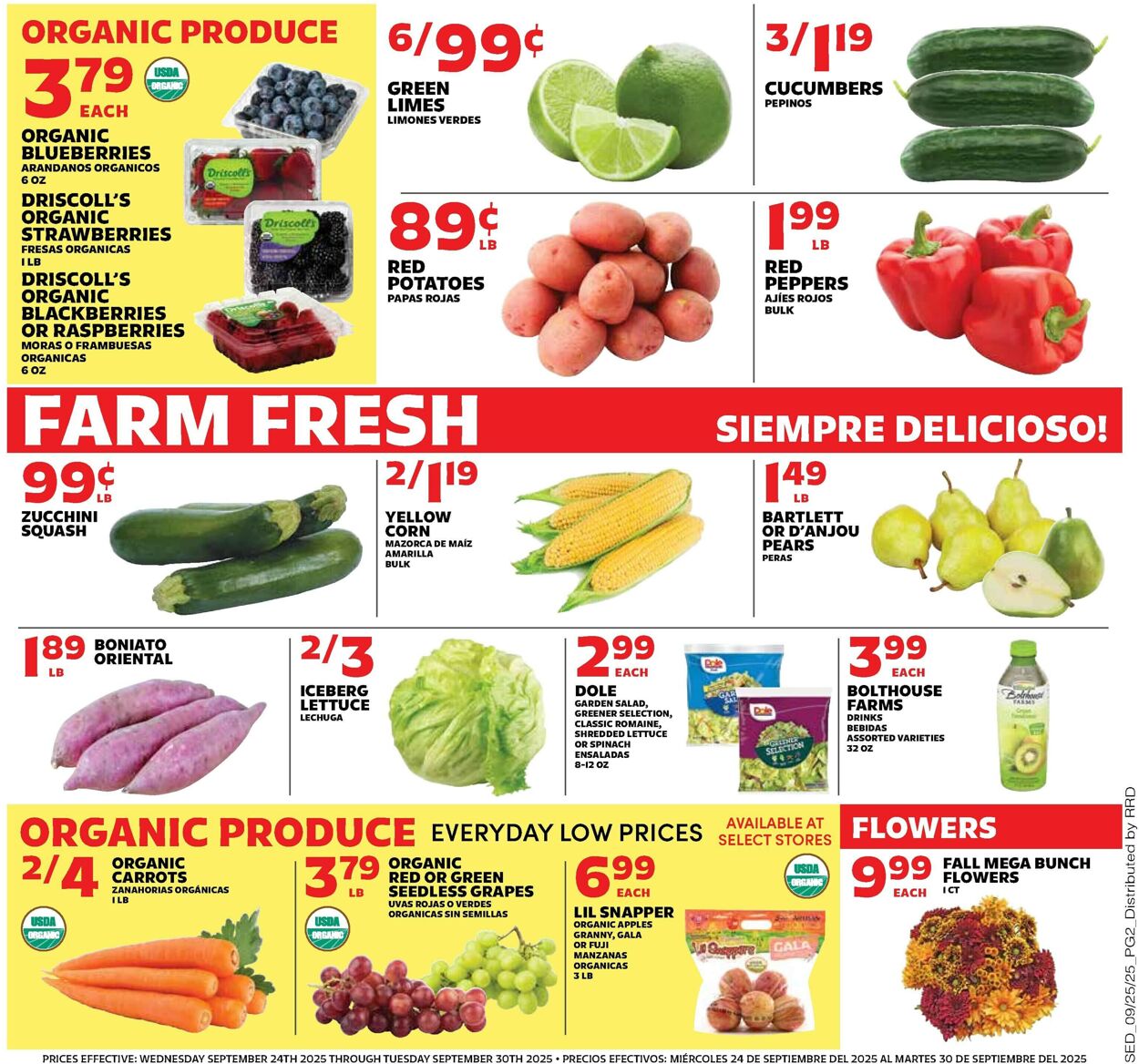 Catalogue Sedano's from 09/24/2025