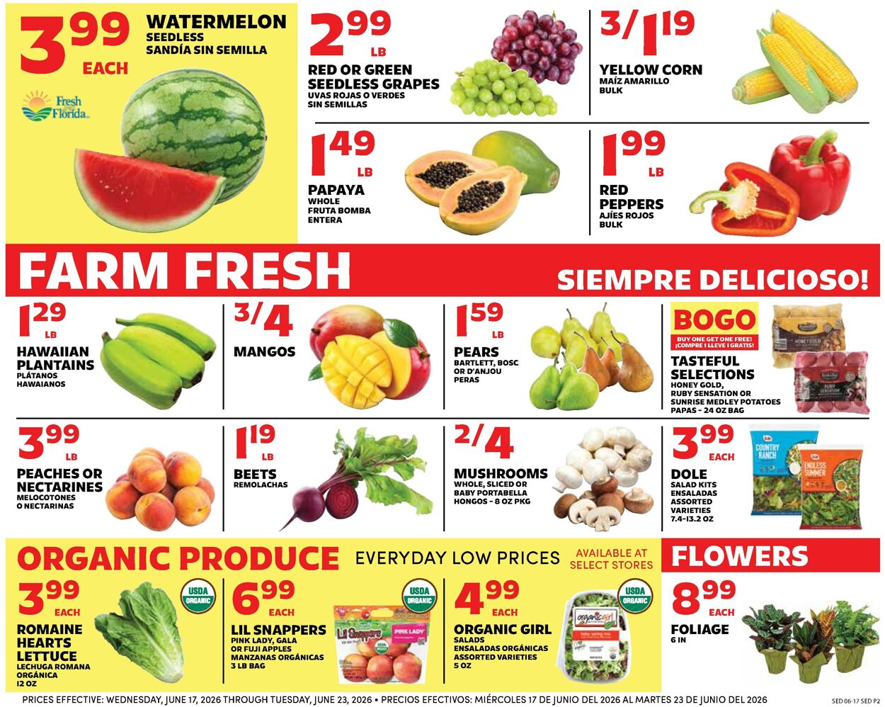 Catalogue Sedano's from 06/17/2026