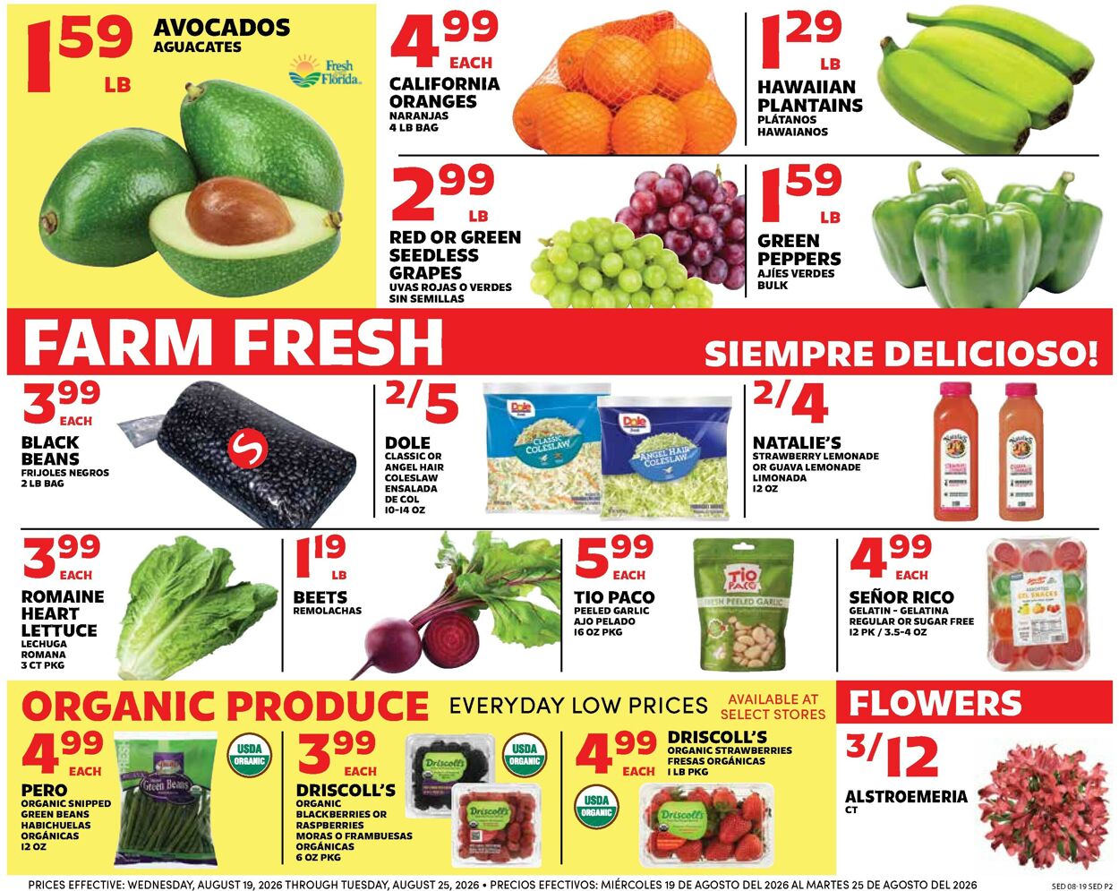 Catalogue Sedano's from 08/19/2026