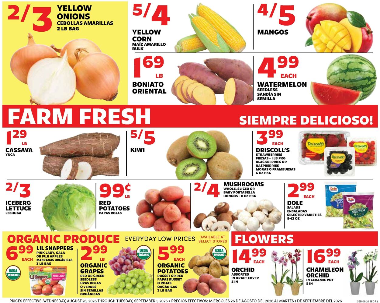 Catalogue Sedano's from 08/26/2026