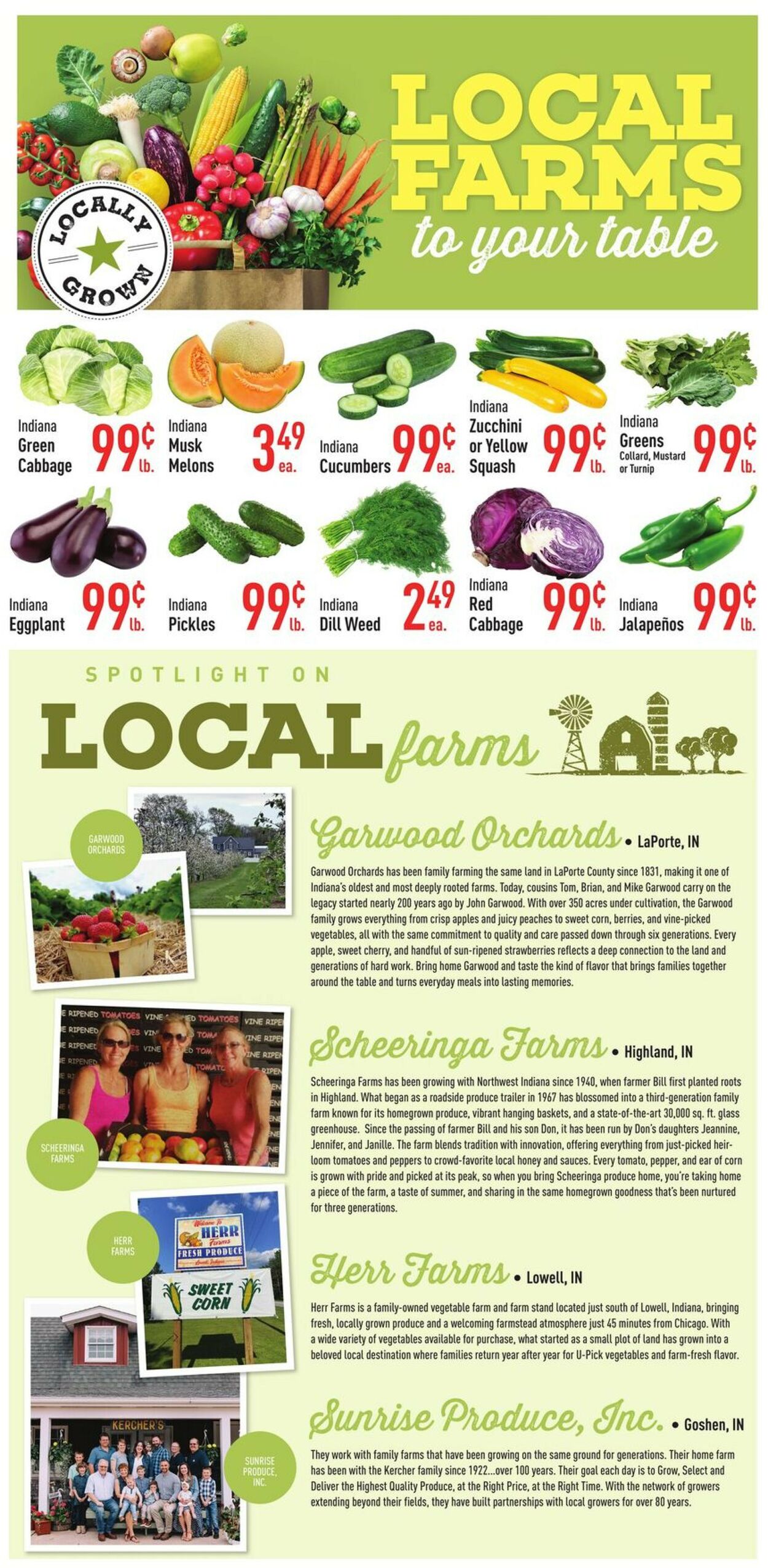 Catalogue Strack & Van Til from 07/16/2025