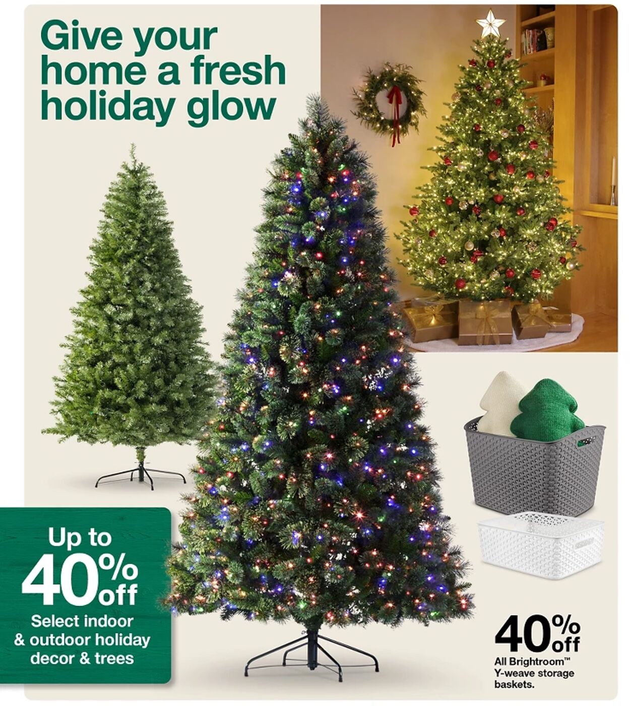 Catalogue Target from 11/16/2025