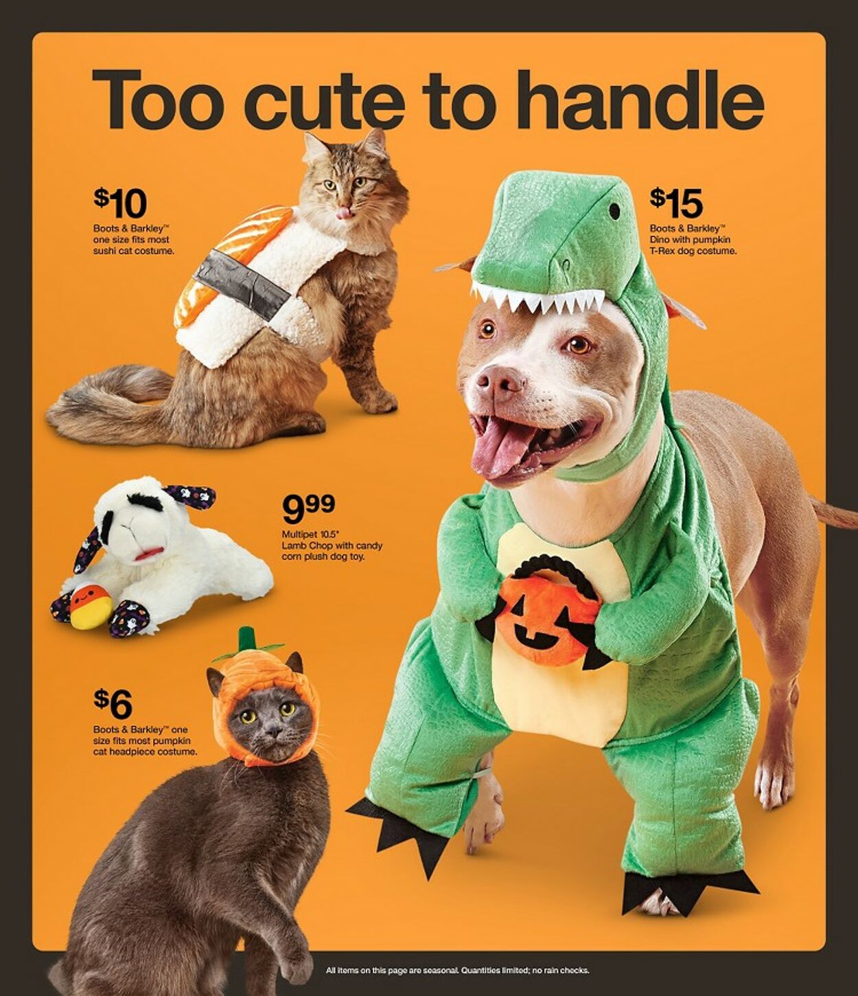 Catalogue Target from 10/18/2026