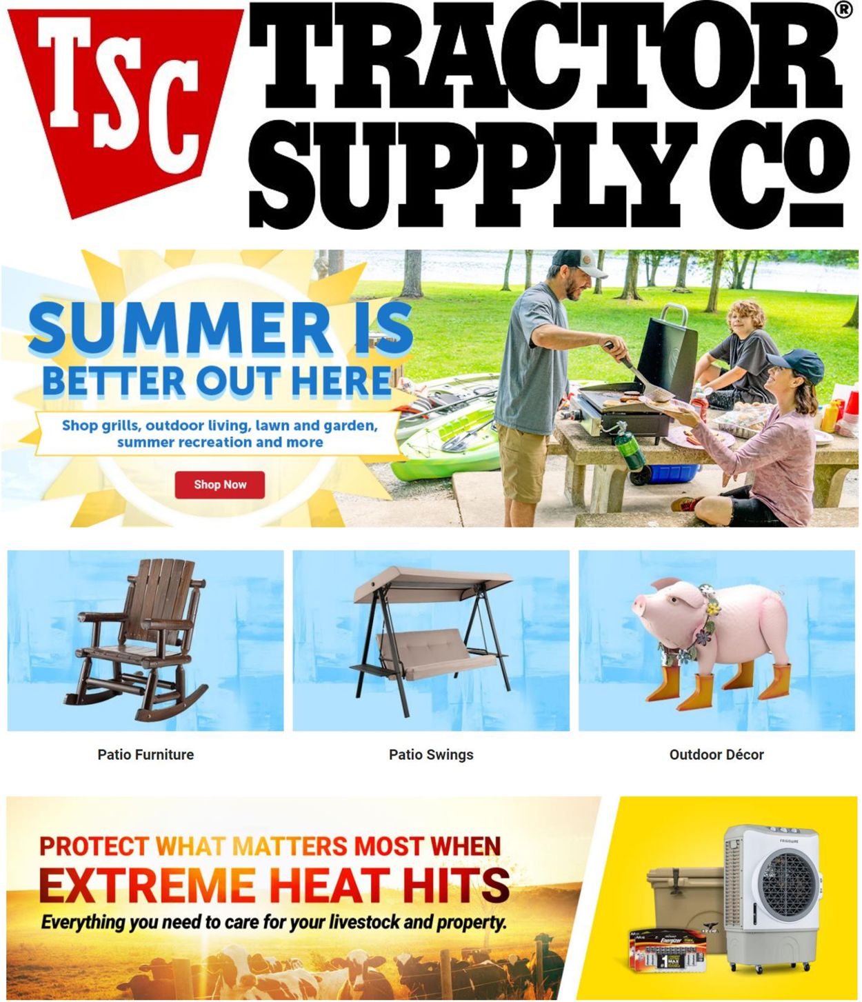 Catalogue Tractor Supply from 07/26/2022