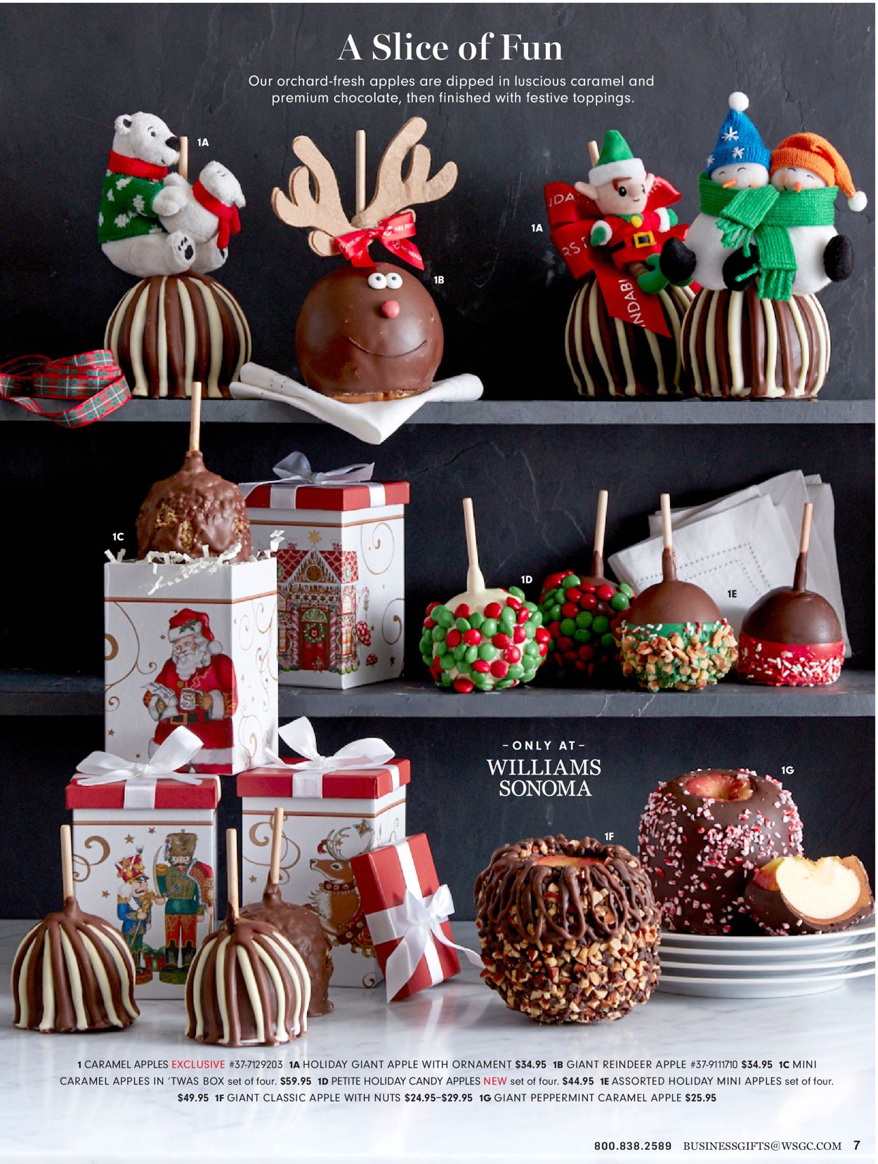 Catalogue Williams-Sonoma - Holiday Ad 2019 from 11/12/2019