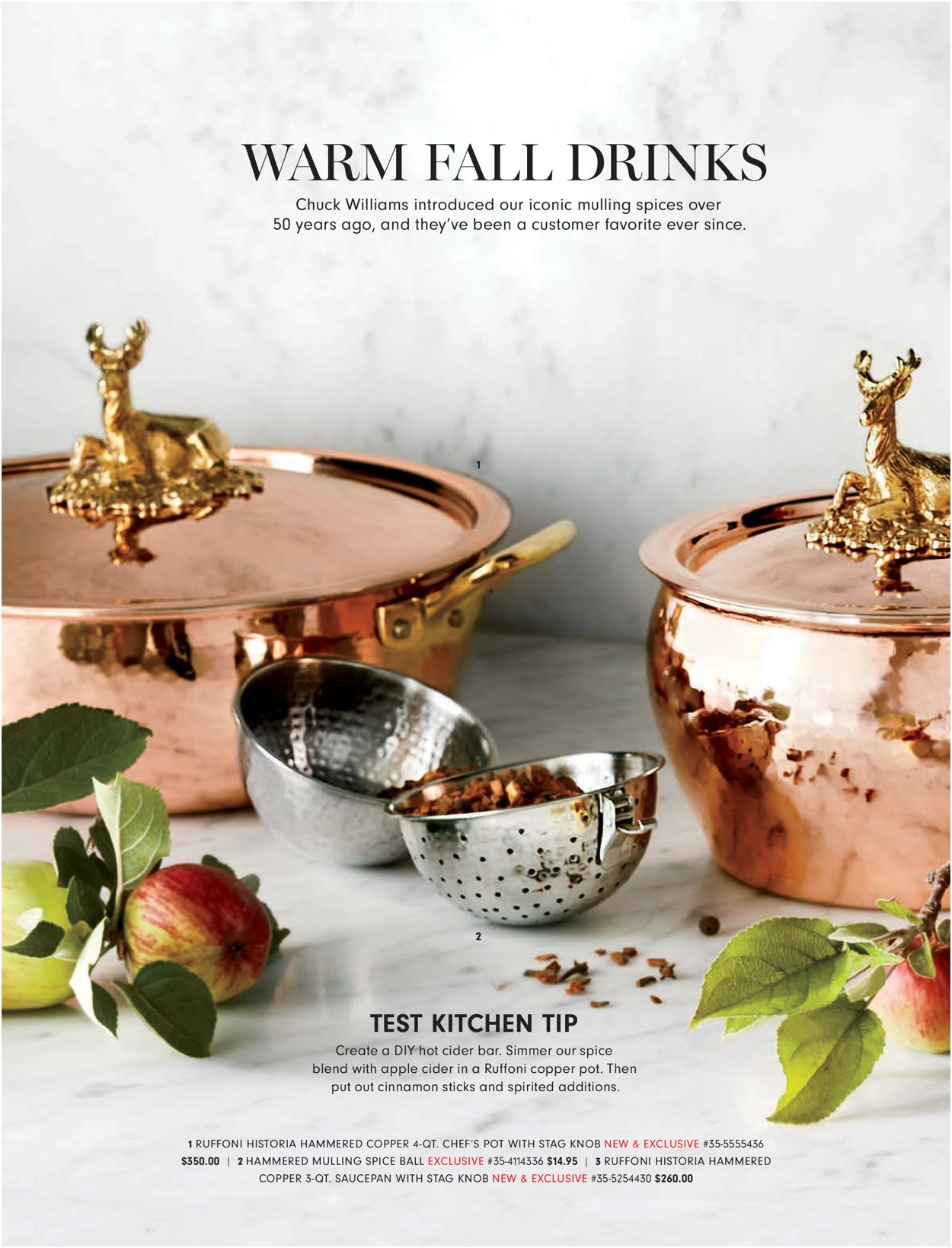 Catalogue Williams-Sonoma Thanksgiving 2020 from 11/02/2020