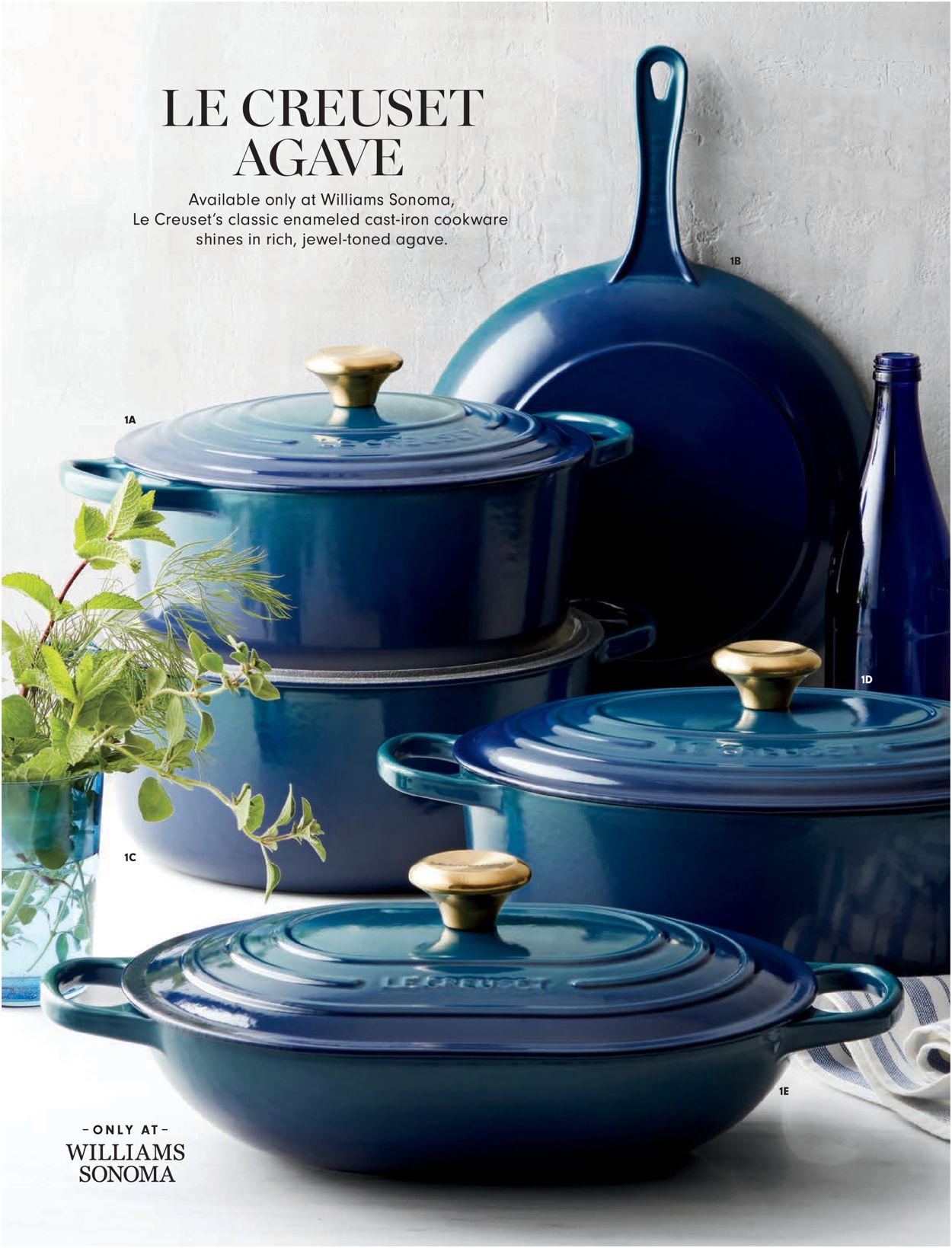 Catalogue Williams-Sonoma Thanksgiving 2021 from 10/01/2021