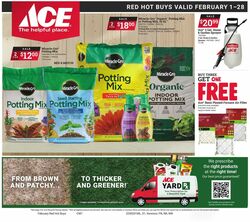 Ace Hardware