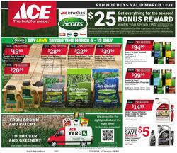 Ace Hardware