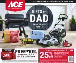 Ace Hardware