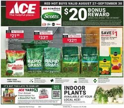 Ace Hardware