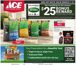 Ace Hardware