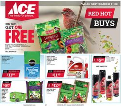 Catalogue Ace Hardware from 09/01/2020