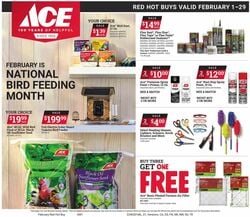 Catalogue Ace Hardware from 02/01/2024