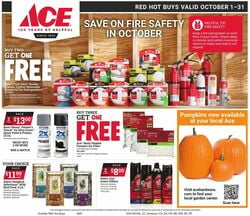 Ace Hardware