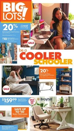 Catalogue Big Lots from 07/24/2021